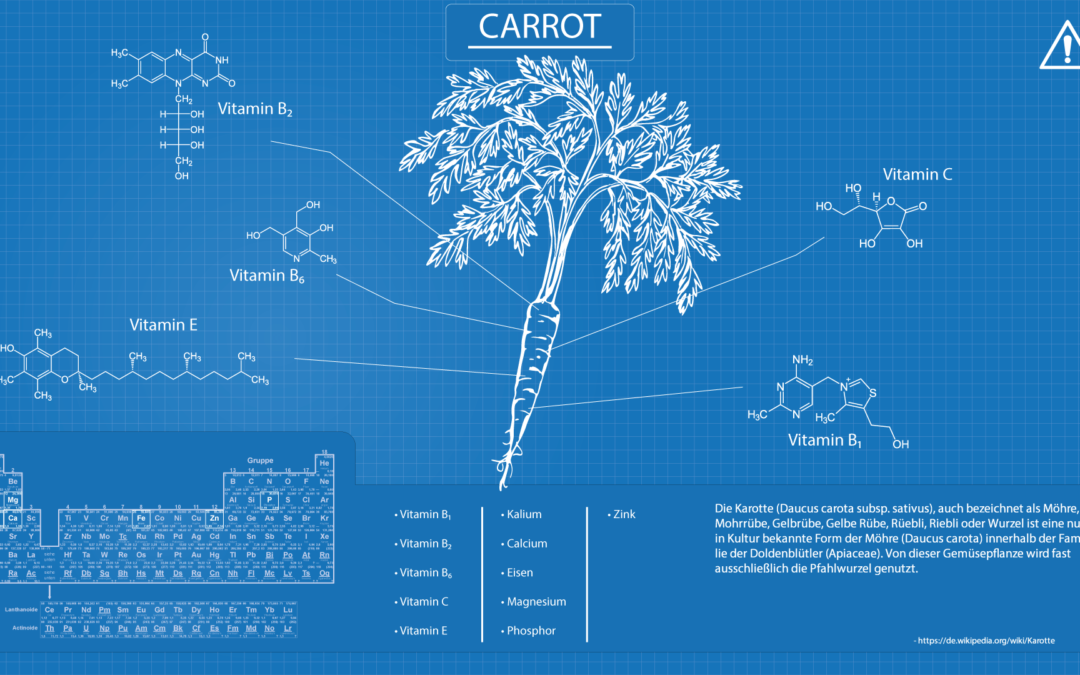 Full-HD-Blueprint-Karotte