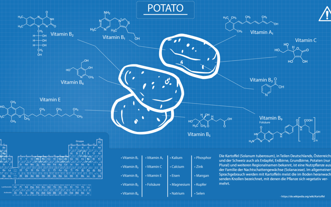 Full-HD-Blueprint-Kartoffel