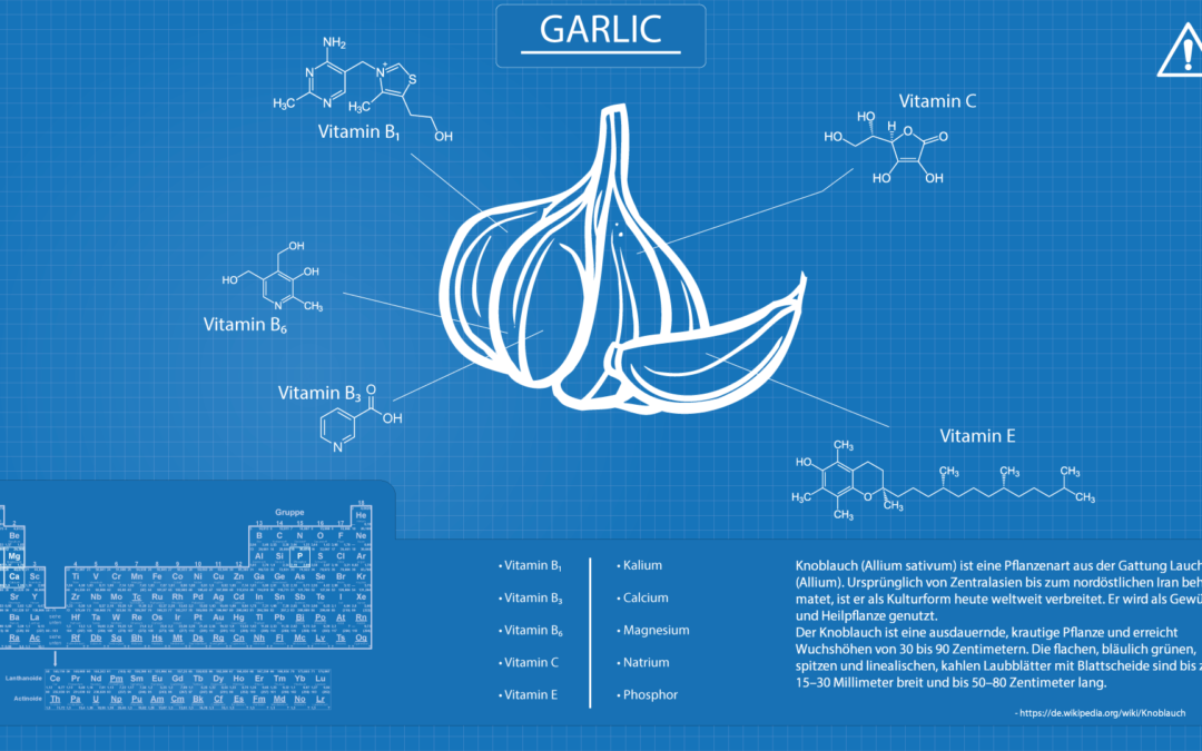 Full-HD-Blueprint-Knoblauch