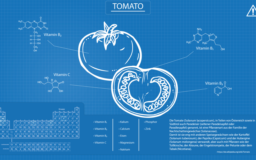 Full-HD-Blueprint-Tomate-V2