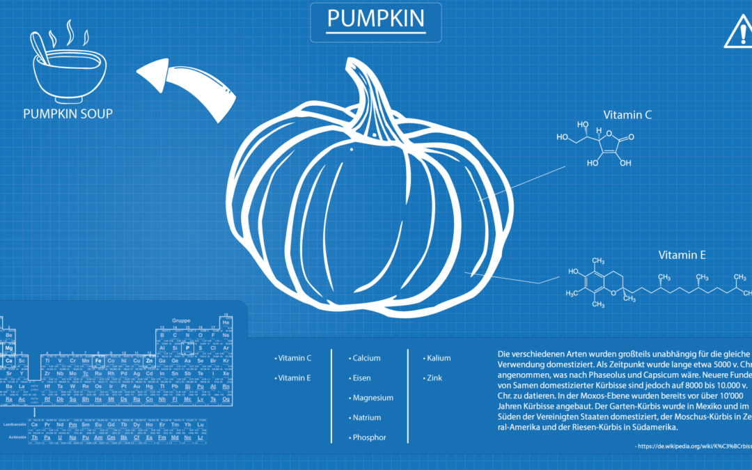 Full-HD-Blueprint-kürbis